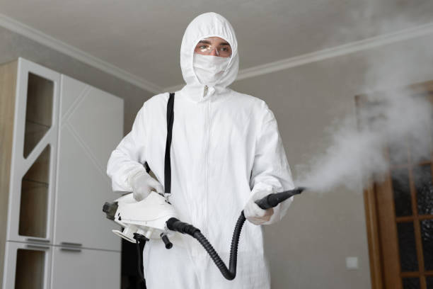 Best Industrial Mold Remediation in Meadow Vista, CA